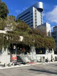 후쿠오카 겨울여행 : 12월에도 푸른 잔디가 가득한 ’텐진중앙공원‘