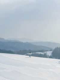 ❄️국내 눈오는날 바로 달려가야할 삼양라운드힐