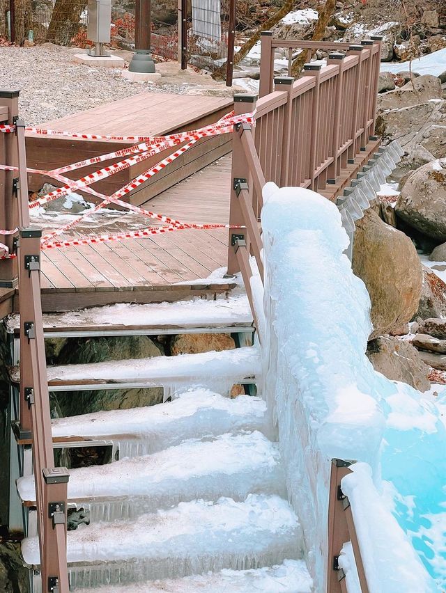 서울 근교에 위치한 얼음계곡 어비계곡❄️
