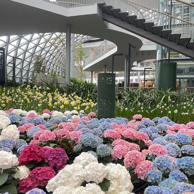 Miracle of Natural  ดอกไม้เมืองหนาว 💐