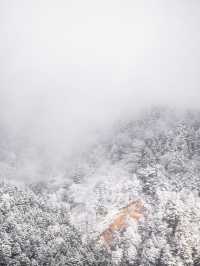 【秋と冬の絶景！✨】この秋は上高地の絶景を見に行こう！🏔🍁❄️