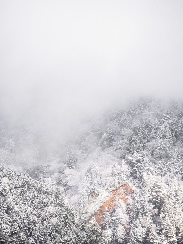 【秋と冬の絶景！✨】この秋は上高地の絶景を見に行こう！🏔🍁❄️