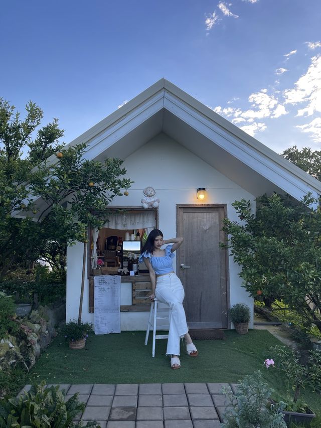 ถ่ายรูปสวยๆที่สวนส้มจินู(ม่อนแจ่ม)