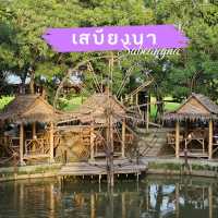 เสบียงนา  จ.สุพรรณบุรี