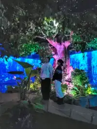 겨울 경주에서 만난 영화 아바타속 비밀의 숲🌳