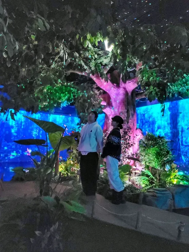 겨울 경주에서 만난 영화 아바타속 비밀의 숲🌳