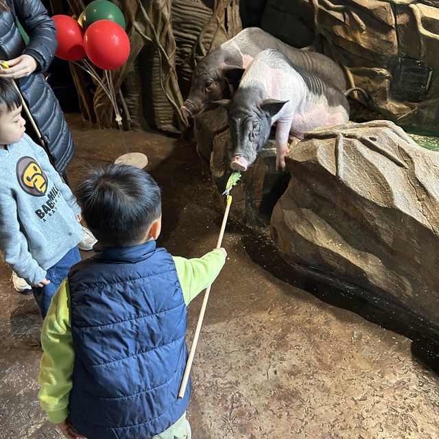 【 集玩樂動物園卡丁車的室內綜合樂園 】
