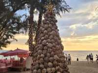 คาเฟ่สีชมพู Tutu Beach พัทยา