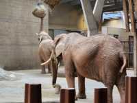 【瑞士】 巴賽爾動物園：瑞士最古老的動物園