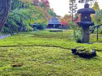 Traditional garden in Nara
