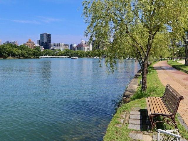 Scenic Park in Fukuoka