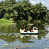 Taman Tasik Taiping a Green Paradise on Earth