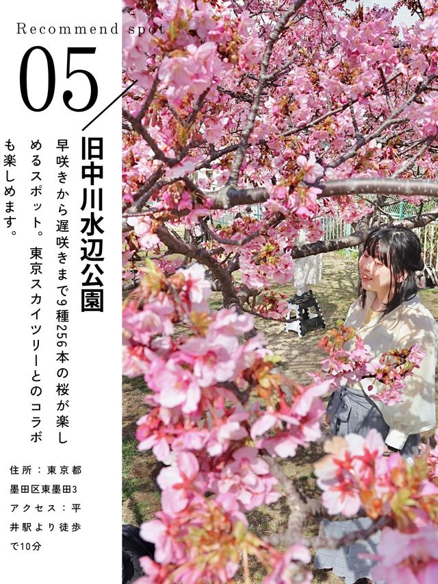 2月に見られる 早咲き桜スポット5選