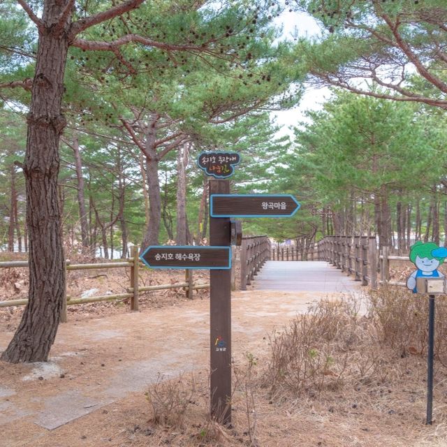맑은 강원 고성의 호수, 송지호