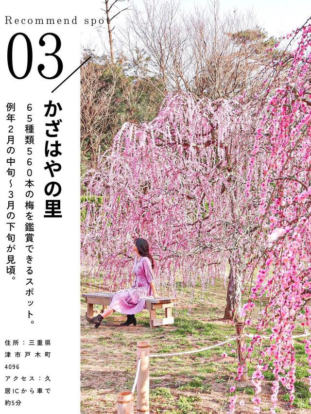 2月のお出かけにおすすめ 全国おすすめ梅スポット5選