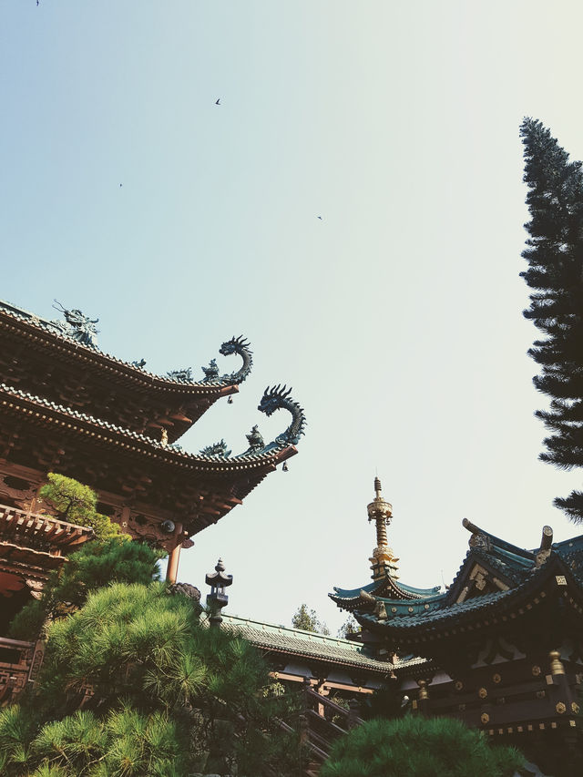 Minh Thanh pagoda - hidden place in Pleiku