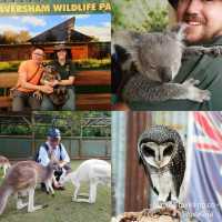 10 Must-Do Experiences in Perth