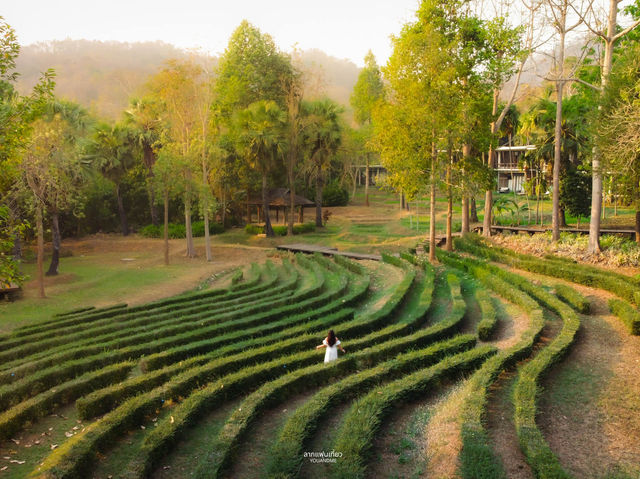 พักผ่อนอย่างเหนือระดับ สัมผัสกับธรรมชาติที่สมบูรณ์