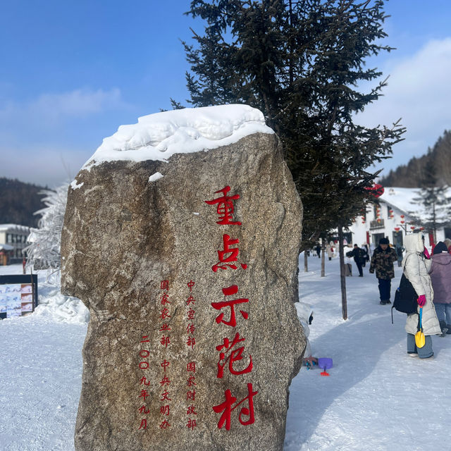 Discovering Harbin's Winter Magic