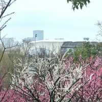 嶺南大地百草園：享受世外桃源的寧靜