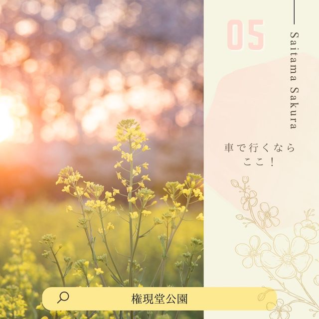 ドライブにおすすめ！埼玉桜散歩🚗🌸