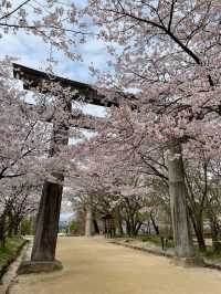 アニメでも有名になった神社