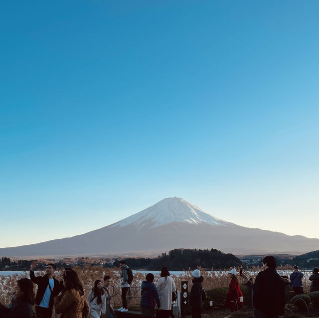 【河口湖】富士山景點推薦！富士絕美景色，此生必去！