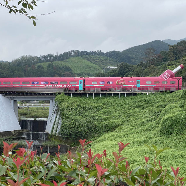 釜山景點-洛東江鐵道自行車