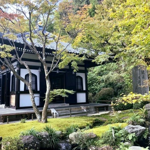 Kamakura Hasedera Temple (Hase-Kannon)