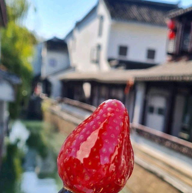 Exploring the timeless elegance of Suzhou