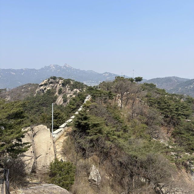 인왕산 자락길에서 즐기는 벚꽃놀이🌸