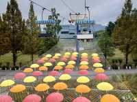 Seoul Grand Park
