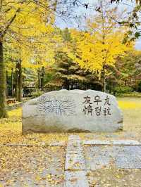 Nami Island