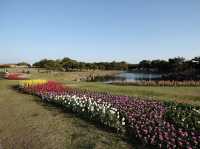 Uminonakamichi Seaside Park สวนสวยในฟุกุโอกะ