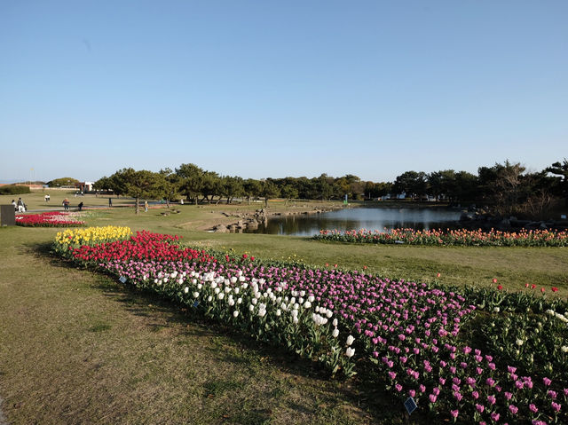 Uminonakamichi Seaside Park สวนสวยในฟุกุโอกะ