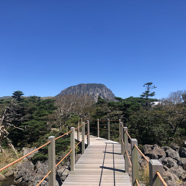 제주도의 휴화산