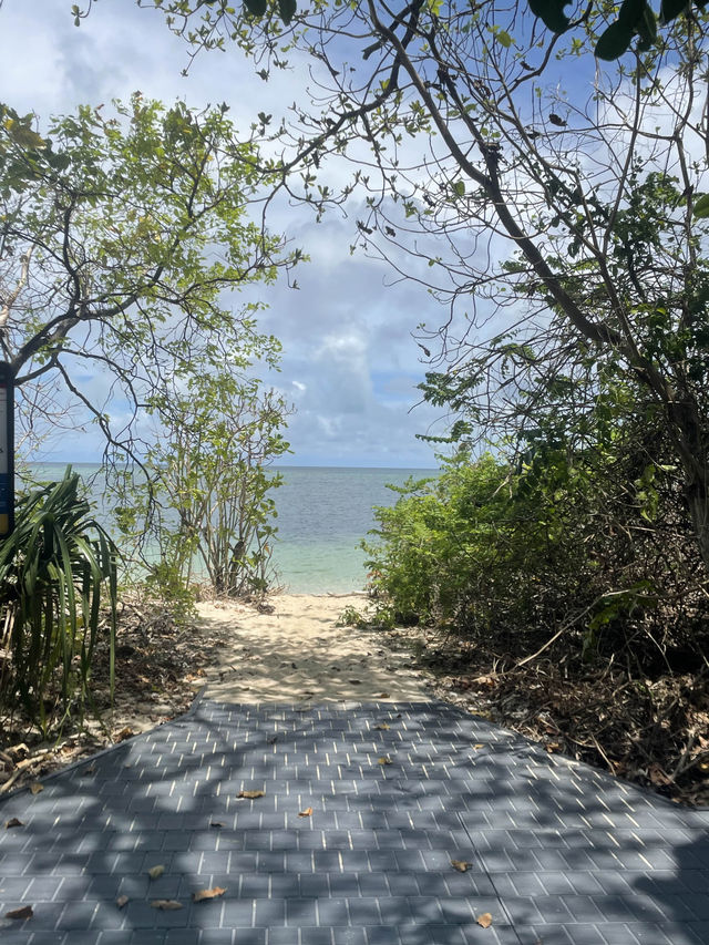 【🇦🇺】グリーン島🏝️💚 Green Island 