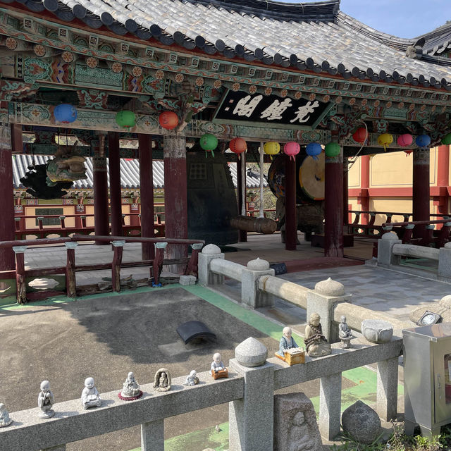 [전라남도 여수]봄에 가기 좋은 여수여행지 추천🌸 여수 흥국사