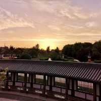 Enchanted Evenings at Tang Paradise in Xi'an 🌟🌸