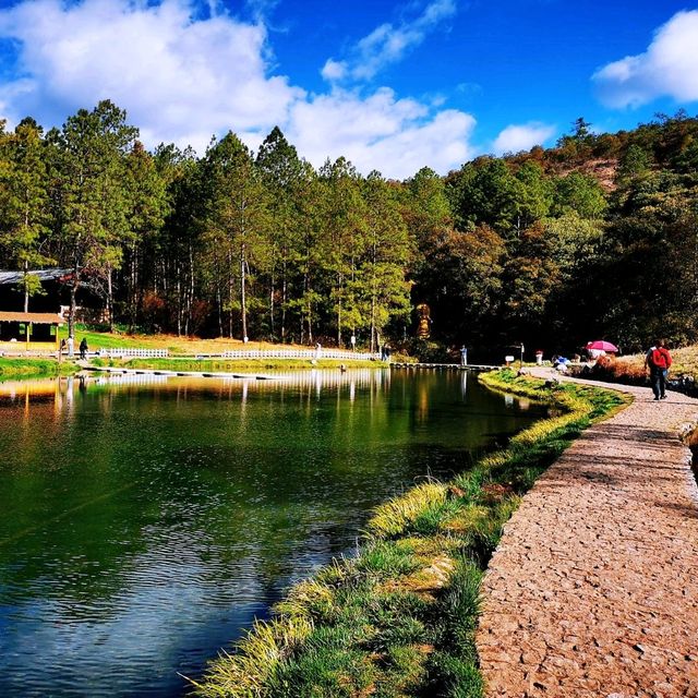 拉市海•高原的湖光山色