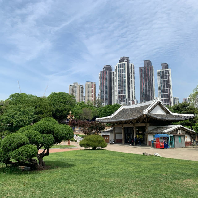 가족들과 함께하기 좋은 봄 여행 관광지, 대구 달성공원