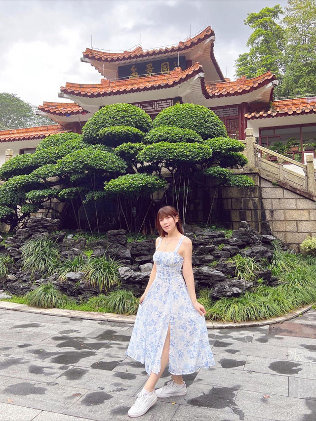 💚深圳仙湖植物園打卡攻略🌟
