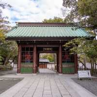 「鎌倉大佛」高德院，20日圓參觀佛像內部