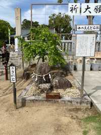 【赤穂】ここも見てほしい赤穂大石神社