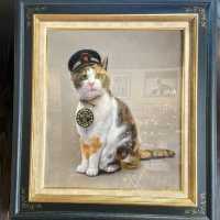 Cute cat train for cat lovers 