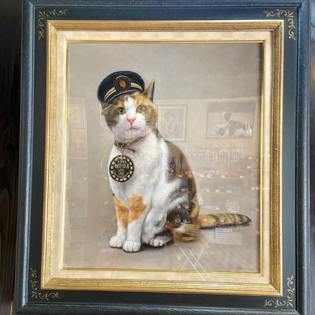 Cute cat train for cat lovers 