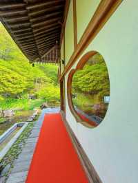 【群馬】日帰りで行ける穴場スポット✨まるで植物園なお寺さんのハート型リフレクションが絶景