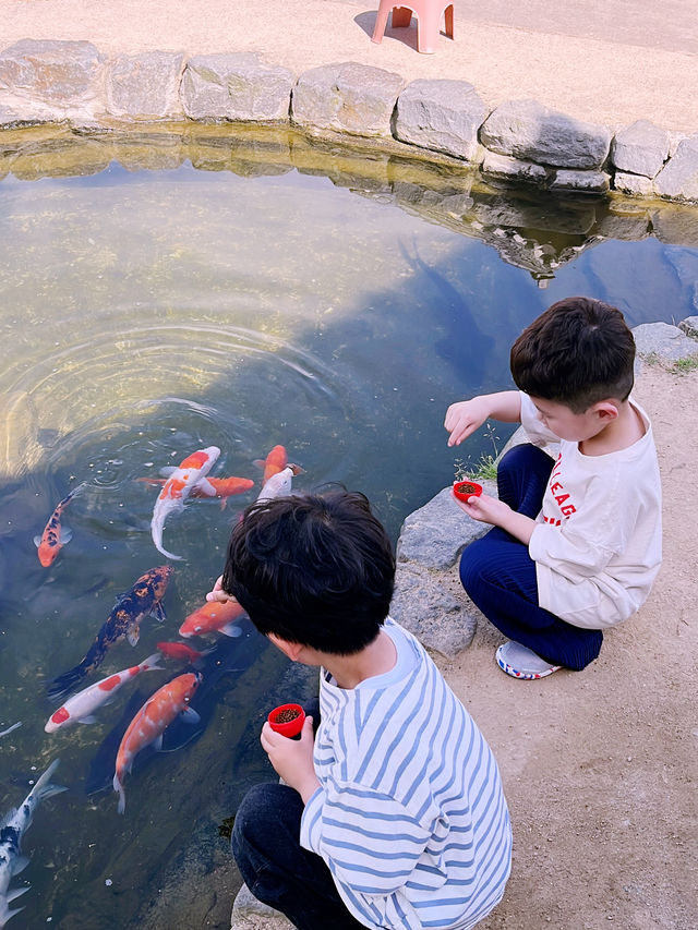 📌 국내여행 충남 부여 “백제문화단지”