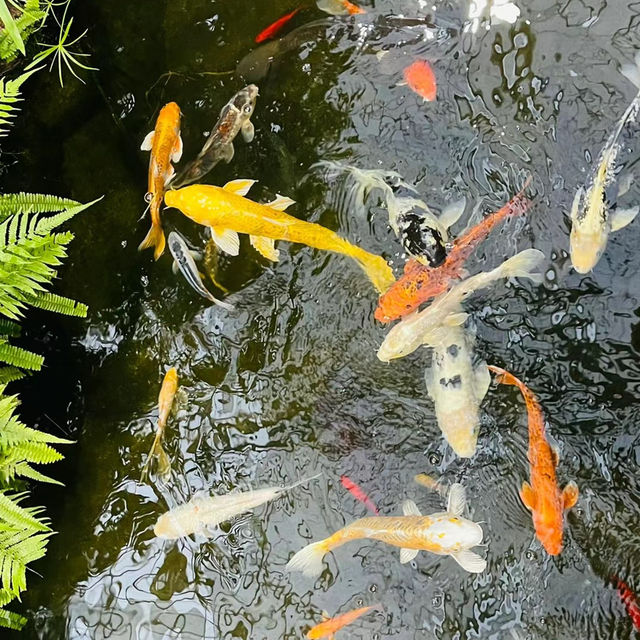 八丈植物公園：自然之美、科學教育和遊樂體驗於一體的綠色寶庫