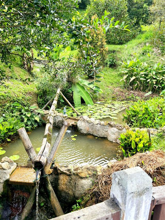 Fun Activities at The Bentong Farm 